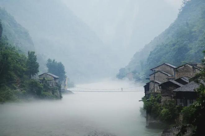 饭”中的“粗茶”巫溪老鹰茶！麻将胡了书记县长答丨“粗茶淡(图7)