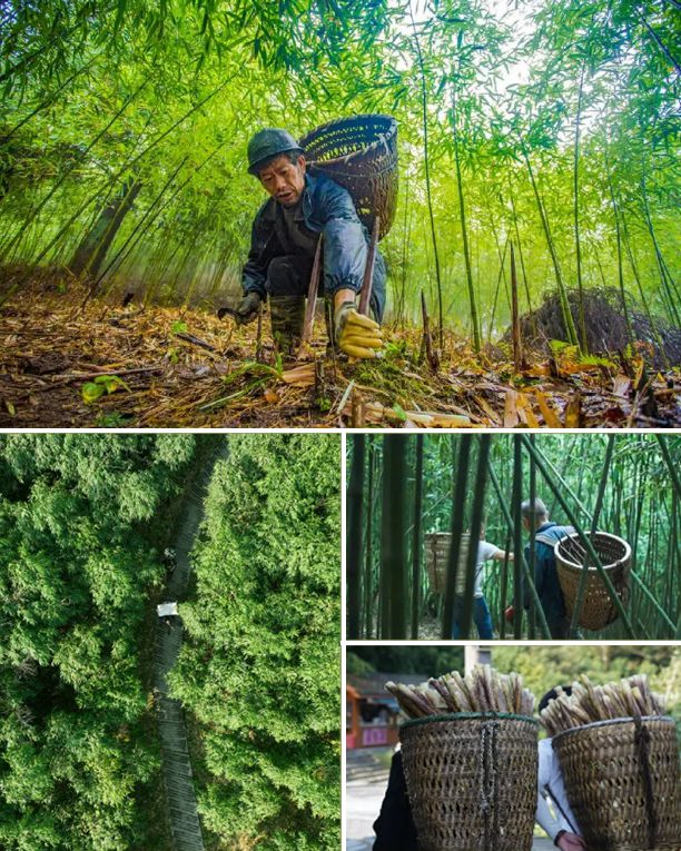 等带头火锅猛推“非遗”食材！麻将胡了模拟器海底捞、珮姐(图9)